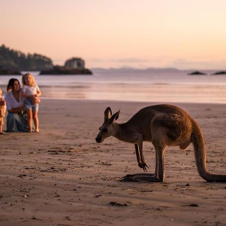 Cape Hillsborough Nature Tourist Park Hotel Seaforth Buitenkant foto