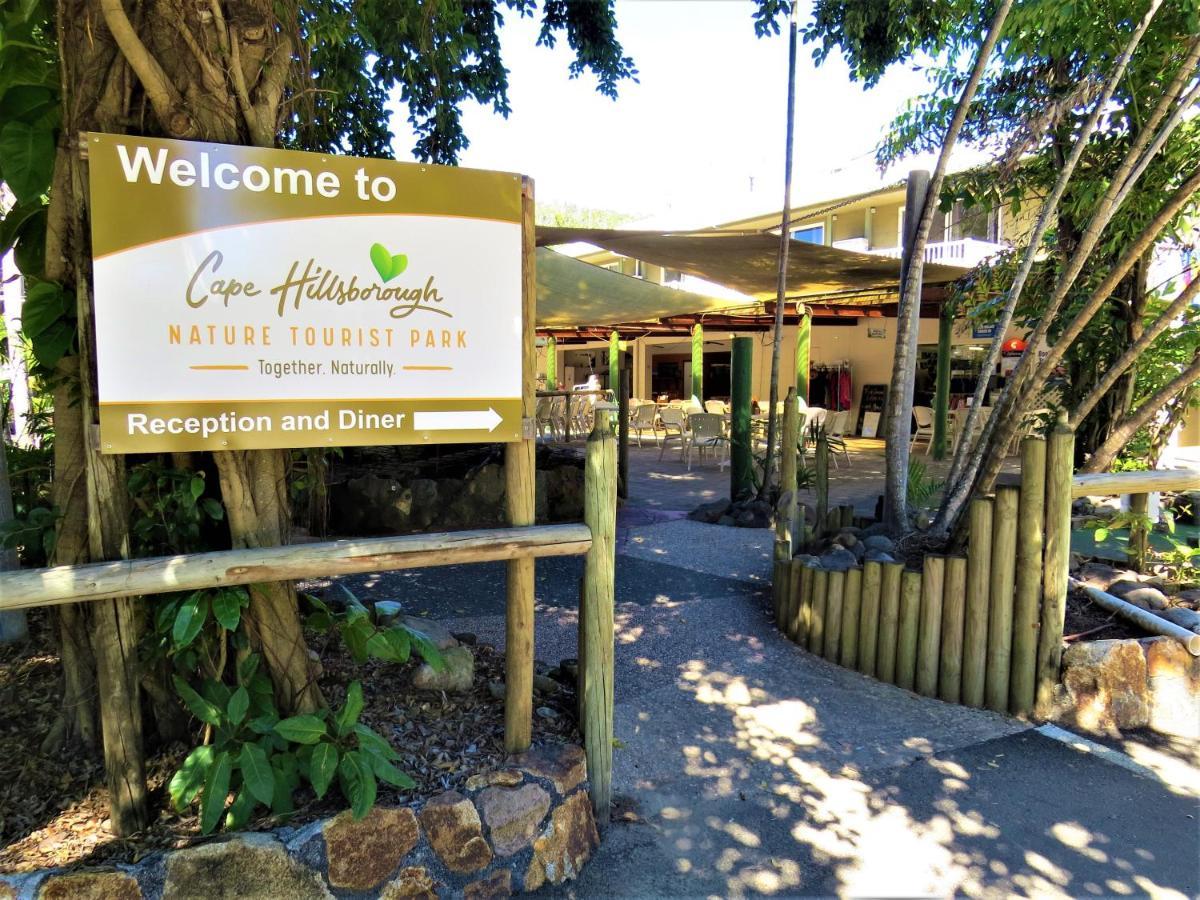 Cape Hillsborough Nature Tourist Park Hotel Seaforth Buitenkant foto