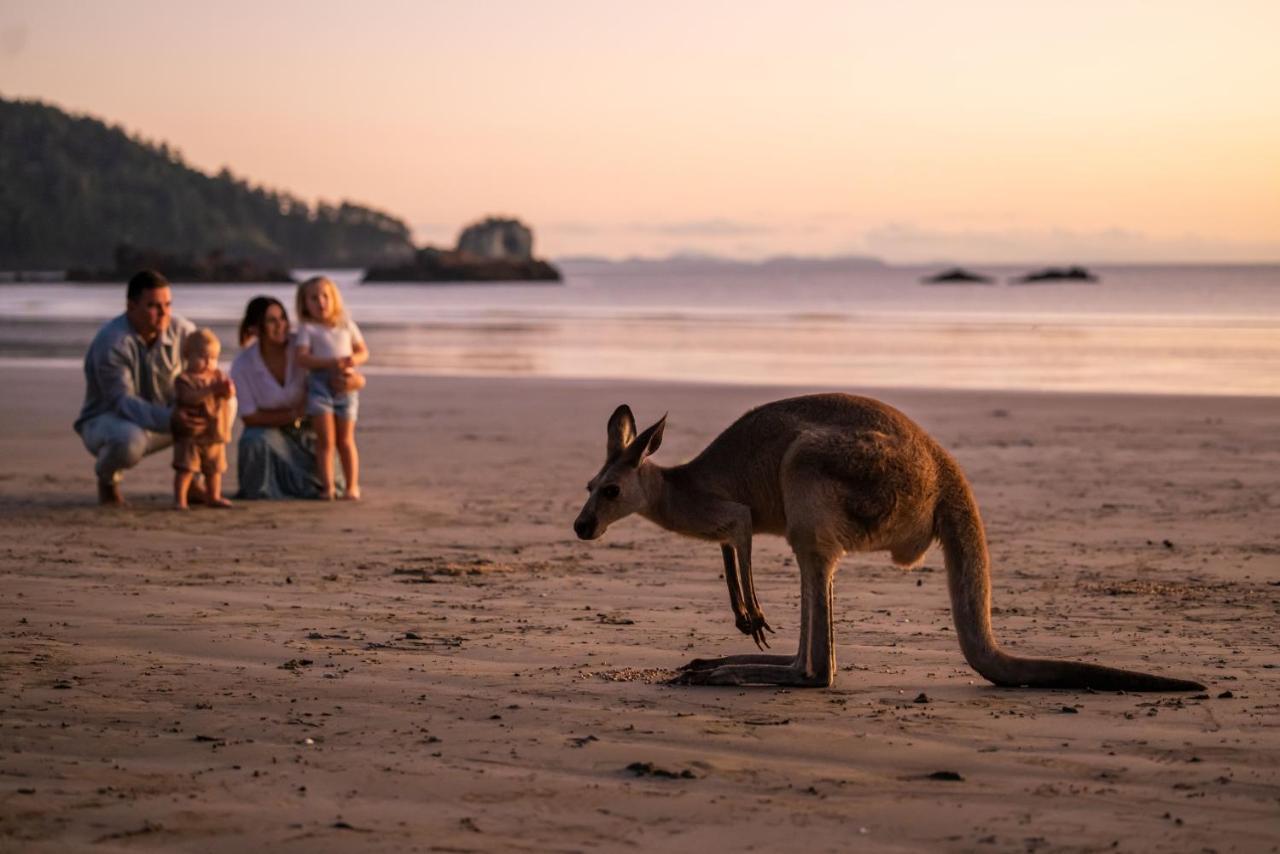 Cape Hillsborough Nature Tourist Park Hotel Seaforth Buitenkant foto